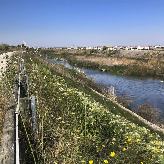 walking-tour-albufera