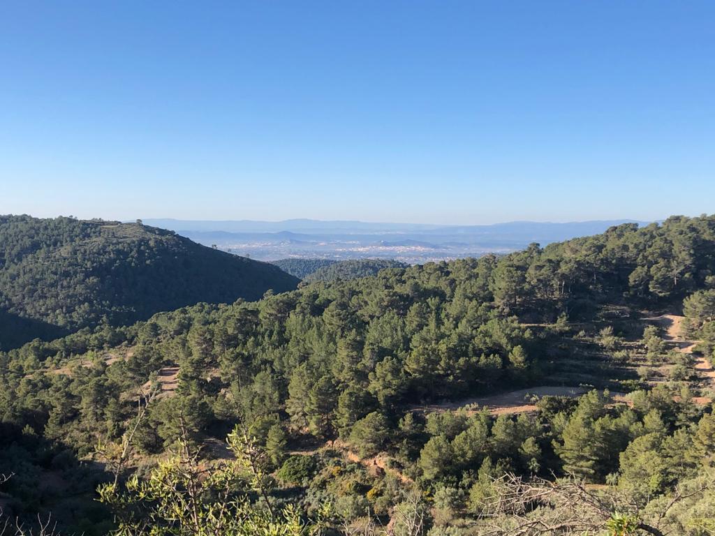 Hiking in the beautiful Valencian region, a must!